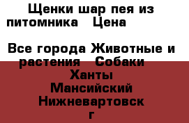 Щенки шар-пея из питомника › Цена ­ 15 000 - Все города Животные и растения » Собаки   . Ханты-Мансийский,Нижневартовск г.